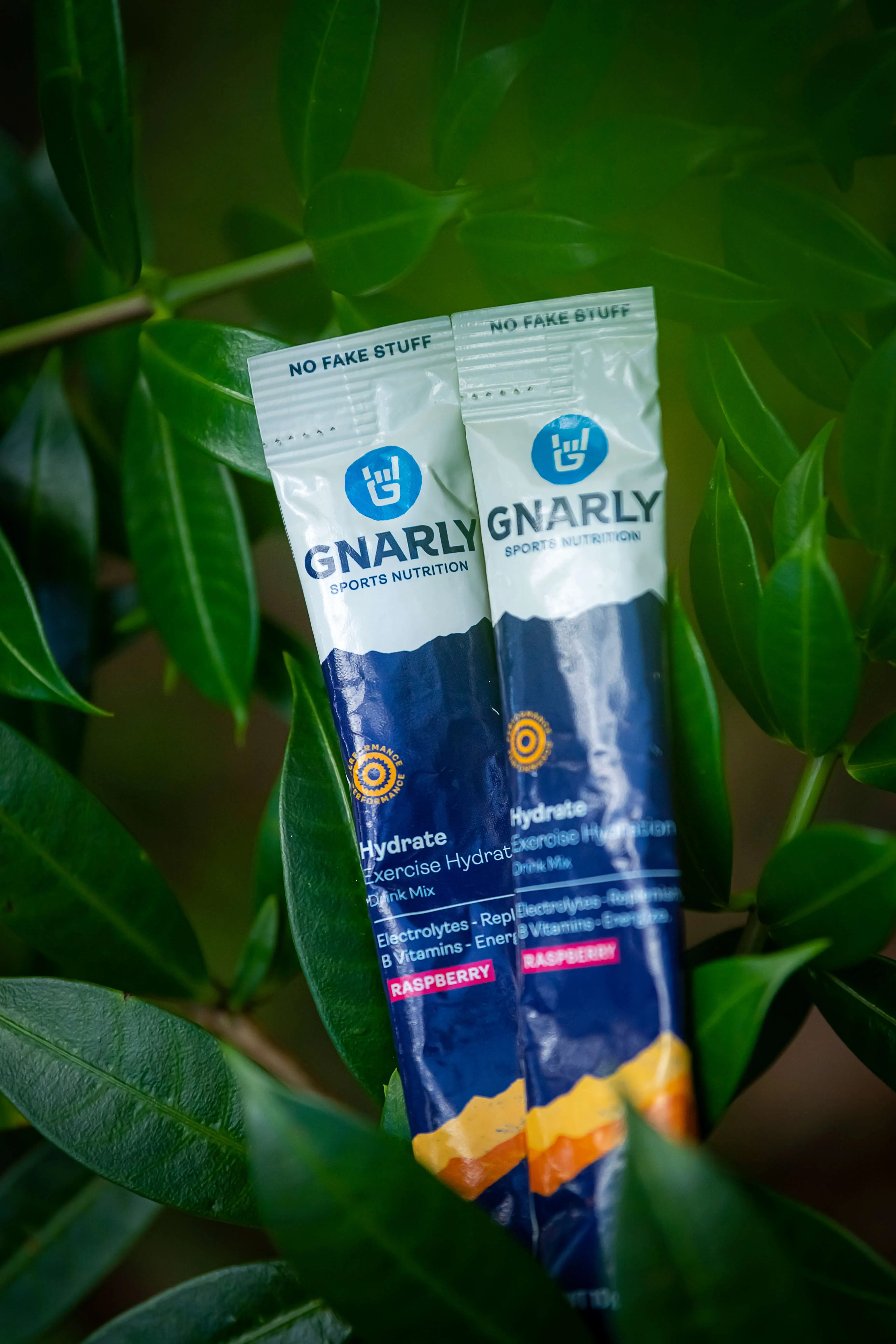 A Gnarly Hydration 5 Stick Sample Pack