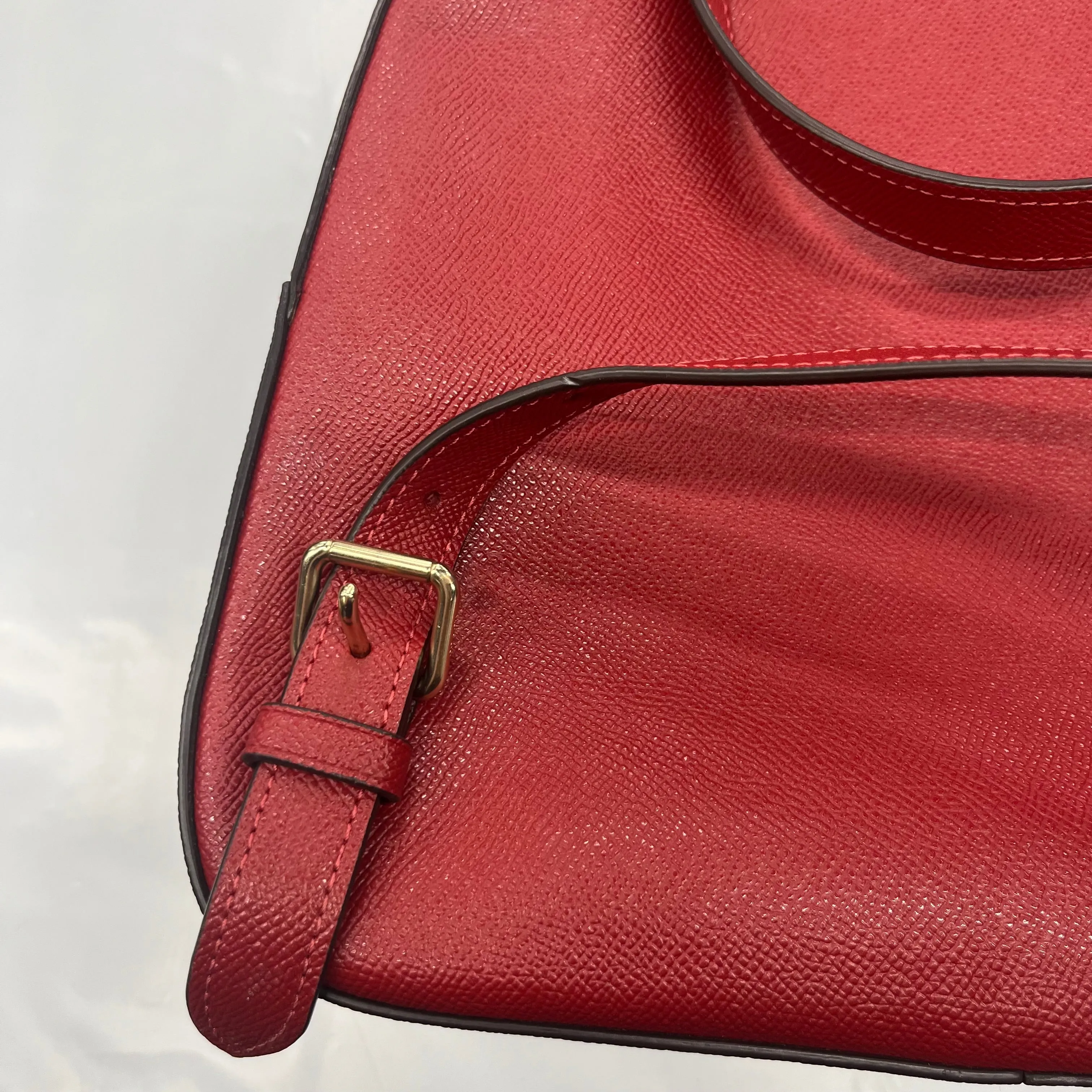 Backpack Coach, Size Large