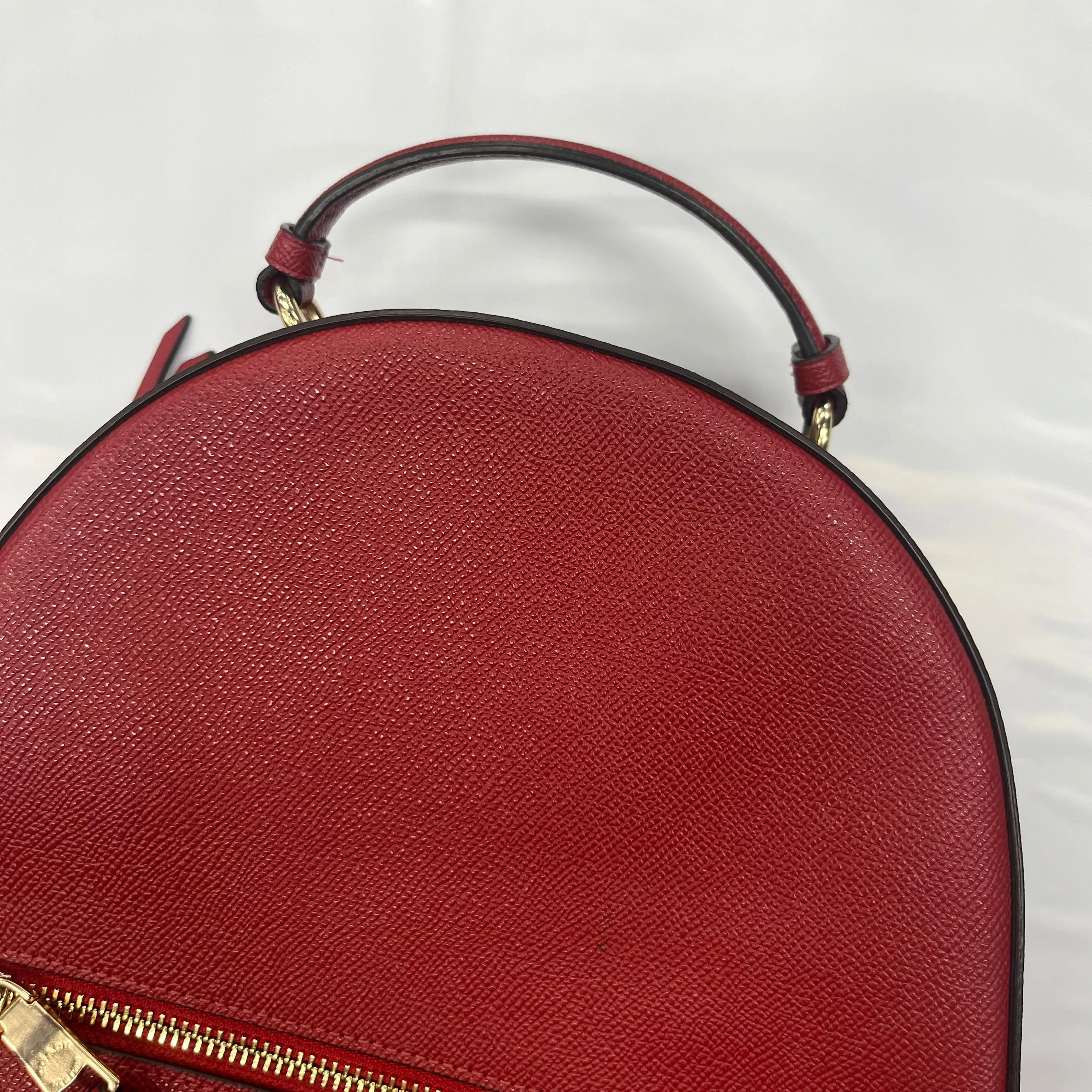 Backpack Coach, Size Large